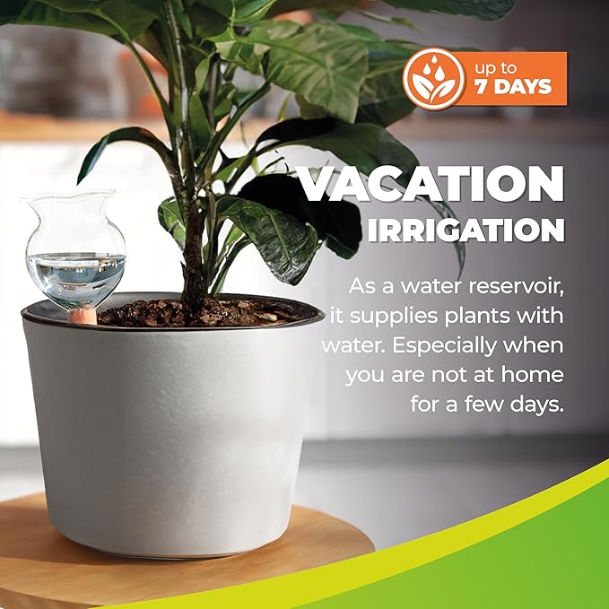 BioGreen Plant Self-Watering Globe HYDRO BLOOM | 1 Cup | Vacation Irrigation | Ideal for Indoor/Outdoor Use | Durable UV-Resistant Plastic Waterer
