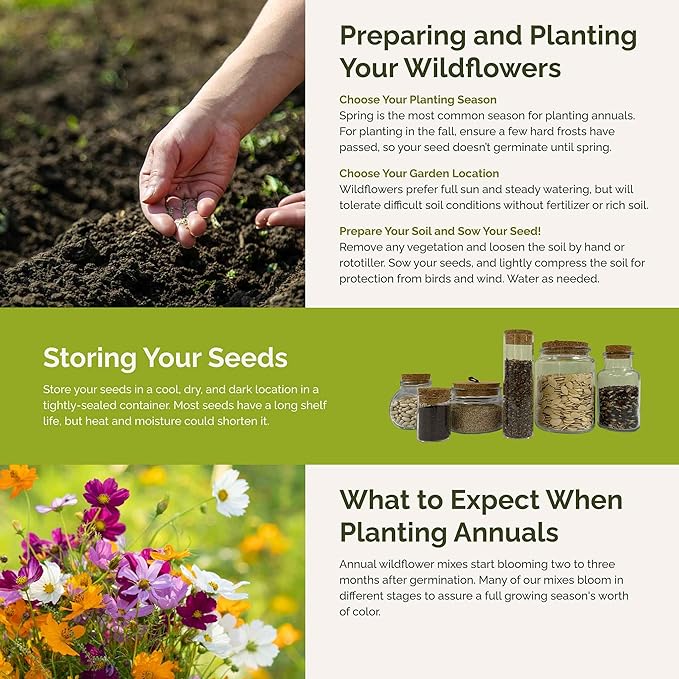 Eden Brothers Annual & Perennial Wildflower Seed Bundle for Planting – 39 Non-GMO, Pollinator Friendly Flower Seed Varieties – Plant in Spring, Zones 3, 4, 5, 6, 7, 8, 9, 10