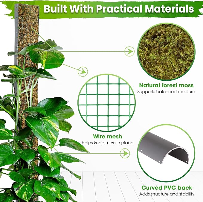 DUSPRO 59’’ D-Shape Moss Pole for Climbing Plants Monstera Moss Plant Pole Handmade Moss Stick for Indoor Plants Grow Upward (59'', 1pc.)