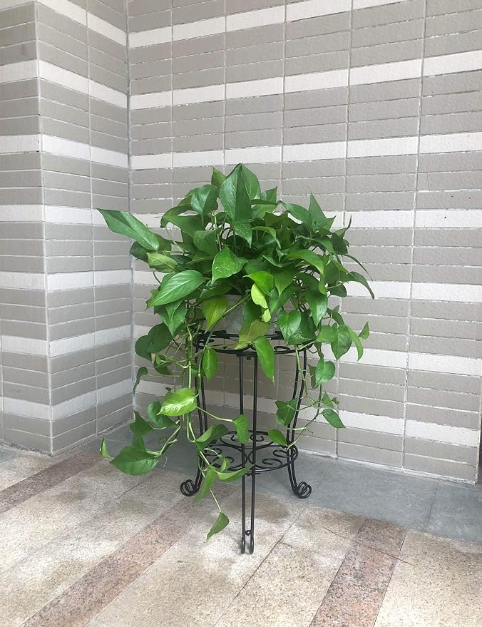 TREEZITEK One 18.9IN tall plant stand,two set of 6 inches plant stands