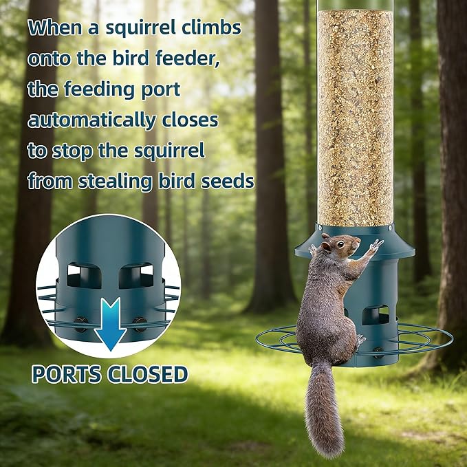 Metal Squirrel Proof Bird Feeders for Outdoors Hanging 4.0 LB Large Capacity,Easily Beat Squirrels,Easy to Clean and Fill,Waterproof,Attracting Finch,Cardinal,Chickadee and More