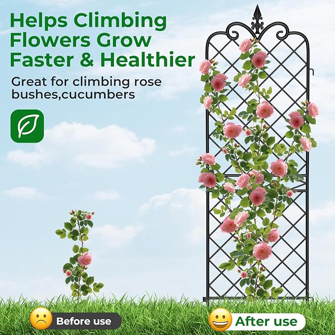 AMAGABELI GARDEN & HOME Garden Trellis 2 Pack 71”x20” Heavy Duty Rustproof Wall Trellis for Climbing Plants Outdoor Metal Decoration Large Trellis for Potted Plants Support Trellis Roses Black
