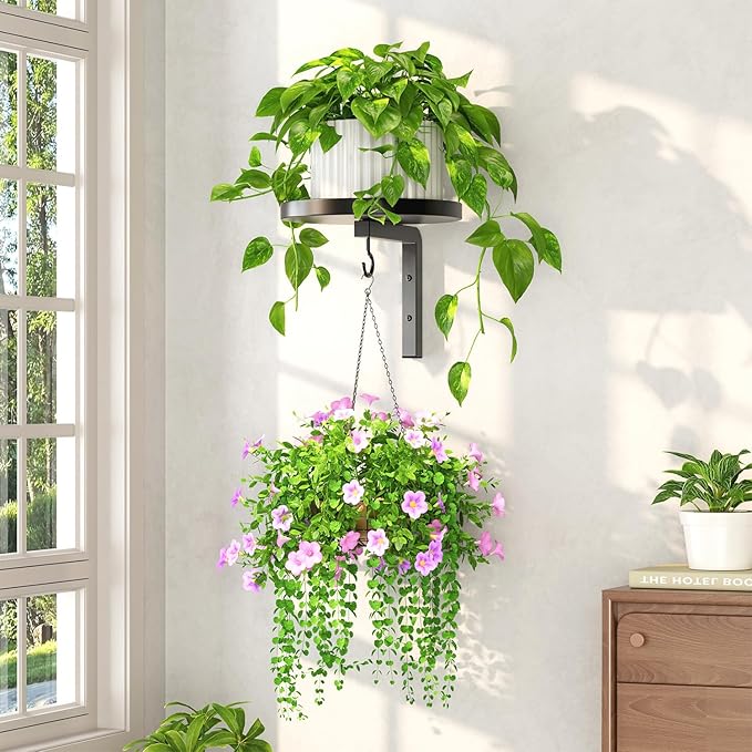 LASZOLA Plant Hangers Shelves Wall Mounted Indoor, Metal Window Plant Holders, 1PC Modern Floating Flower Display Stand with 1 Hook for Outdoor Kitchen Bathroom Decor, Black