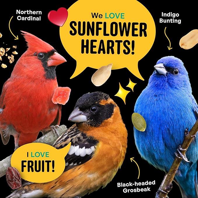 Cool Birds No Mess with Fruit Wild Bird Seed – 10 lb. 100% Edible Shell-Free Blend with Sunflower Hearts, Peanuts, Tree Nuts, Pumpkin Seed & Real Fruit – No Waste Bird Seed for Outside Feeders