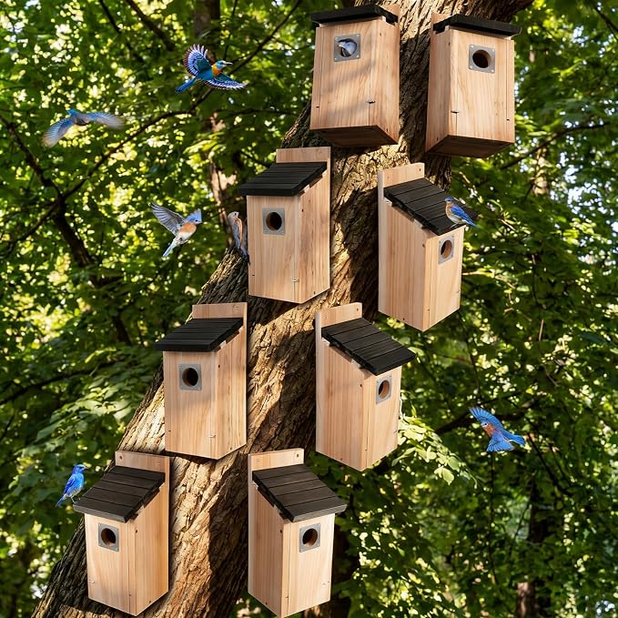 Dreyoo 8 Pack Bluebird Box Houses for Outside,1-1/2'' Entrance Hole Wooden Bird Houses with Metal Guard, Secure Latch,Fledgling Grooves,Air Vents for Bluebird Wren Swallow (Black Roof,Wood Body)