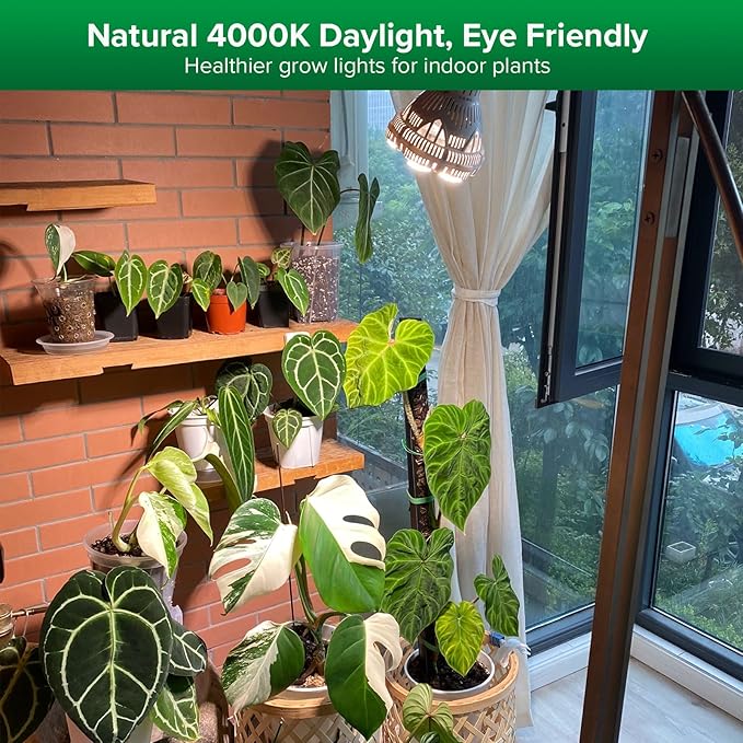 SANSI Grow Lights for Indoor Plants, Full Spectrum 24W Grow Light Bulbs (300 Watt Equivalent) with Optical Lens for High PPFD, Natural Daylight Efficiency Plant Lights for Indoor Growing Seed Starting