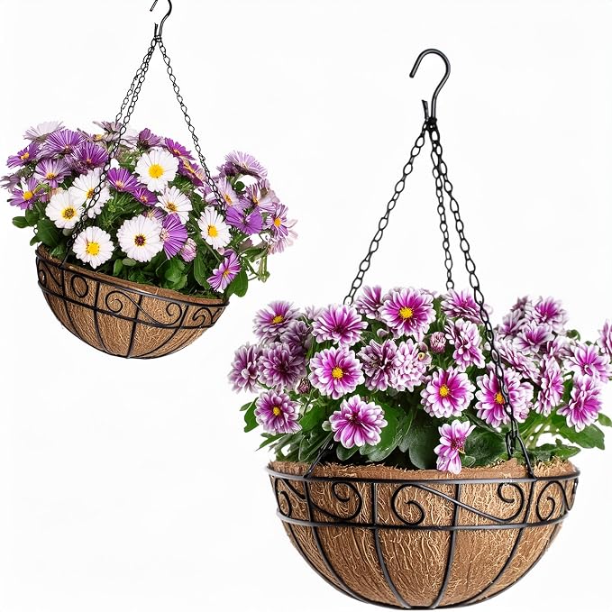 Ashman 16 Inch Metal Hanging Planter Basket with Coco Coir Liner Round Wire Plant Holder Chain Porch Decor Flower Pots Hanger Garden Decoration Indoor Outdoor Watering Hanging Baskets (4 Pack)