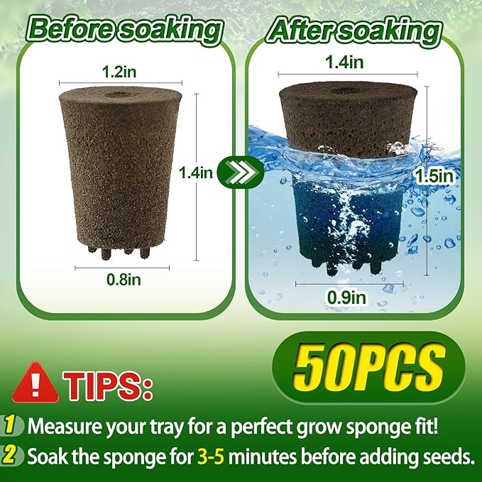 Bigmeta 50 Pcs Rooting Sponges, Starter Plugs for Seedlings or Cuttings, Rapid for Soil, Tray or Planting Pods Plant Rooter, Promotes Herbs Vegetable Flowers Growth