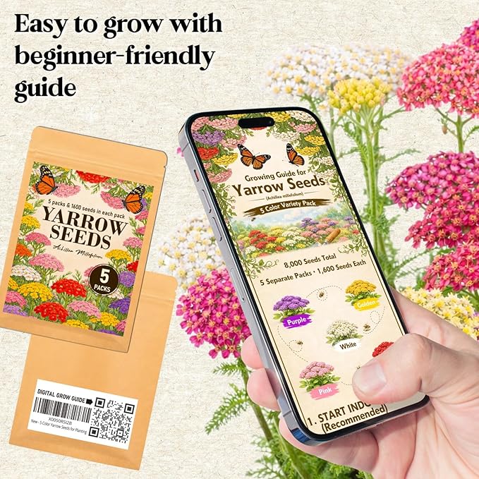 8000+ Yarrow Seeds for Planting - 5 Packs Colors Mixed, Achillea Millefolium Perennial Wildflower, White, Gold, Red, Pink, Purple, Separate Packets 1600 Each, Attracts Bees & Butterflies
