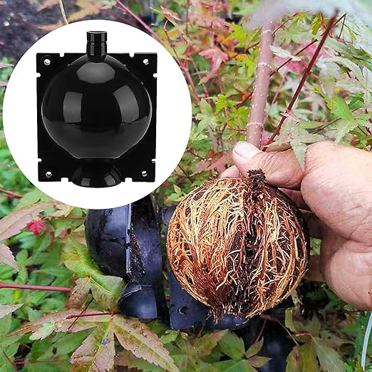 30 PCS 3.15 Inches Plant Root Growing Ball, High Pressure Propagation Ball Box with Zip Ties, Plastic Plant Rooting Grafting Box Air Layering Device for Plants, Medium, Translucent Black