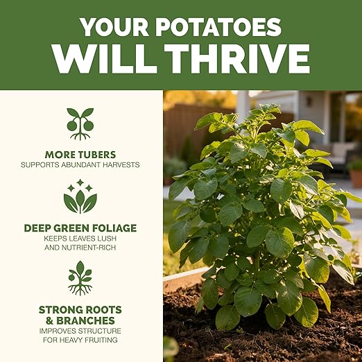 Potato Fertilizer – Liquid Plant Food for Bigger Tubers, Stronger Roots & Vigorous Plant Growth, 8 oz