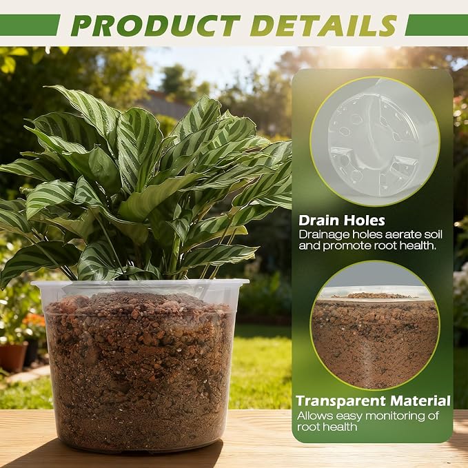 10 Inch Large Size Clear Nursery Pots with Drainage Holes, 5 Packs Plastic Pots for Plants, Transparency Durable Seedling Starter Pot for Succulents Flowers Herb Vegetables