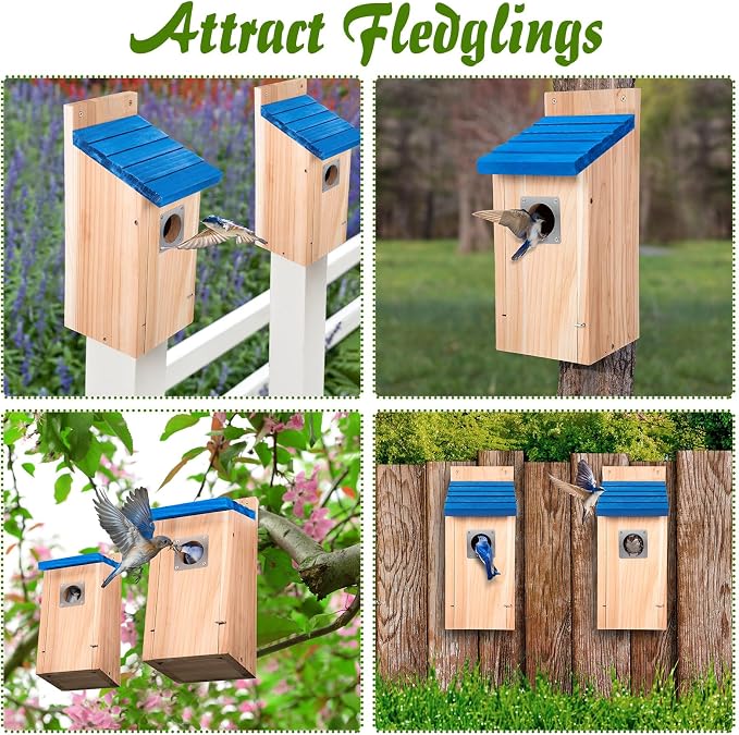 Dreyoo 3 Pack Bluebird Box Houses for Outside,1-1/2'' Entrance Hole Wooden Bird Houses with Metal Guard, Secure Latch,Fledgling Grooves,Air Vents for Bluebird Wren Swallow (Blue Roof,Wood Body)