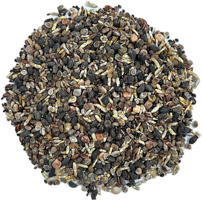 Ferry-Morse Wildflower Seeds - Blue Mix, Non-GMO, Outdoor, Partial Sun, Wild Flowers - 1 lb - Other