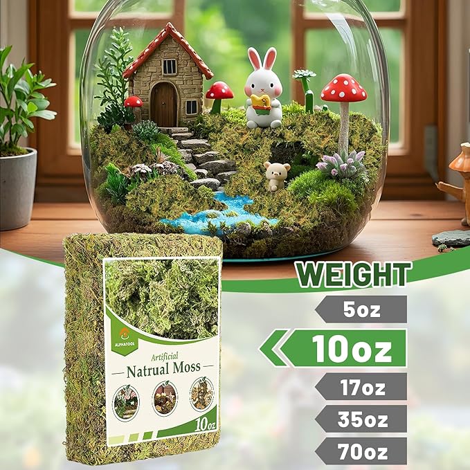 Alphatool 10oz Natural Green Moss for Crafts Beginners - Starter Moss for Plants Indoor, Artificial Fairy Gardens, Mini Mosswall, Glass Terrariums, Filling Fake Plants, Home Decoration