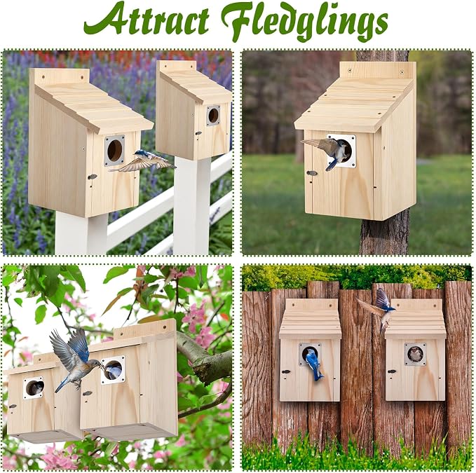 Dreyoo 8 Pack Bluebird Houses for Outside with Metal Predator Guard, 1-1/2" Entrance Hole Wooden Blue Bird Houses for Outdoors, Bluebird Nesting Box with Screwdriver(Wood Color)