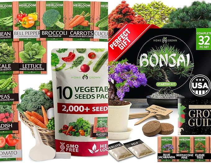 2,000+ Vegetable Seeds for Planting - Bonsai Tree Kit - Gifts for Men & Women
