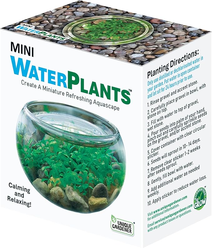 Mini WaterPlants - Create Your Own Soothing Aquasacape Starter Kit, Indoor Plant Glass Globe Terrariums with Complete Supplies, Just Add Water!