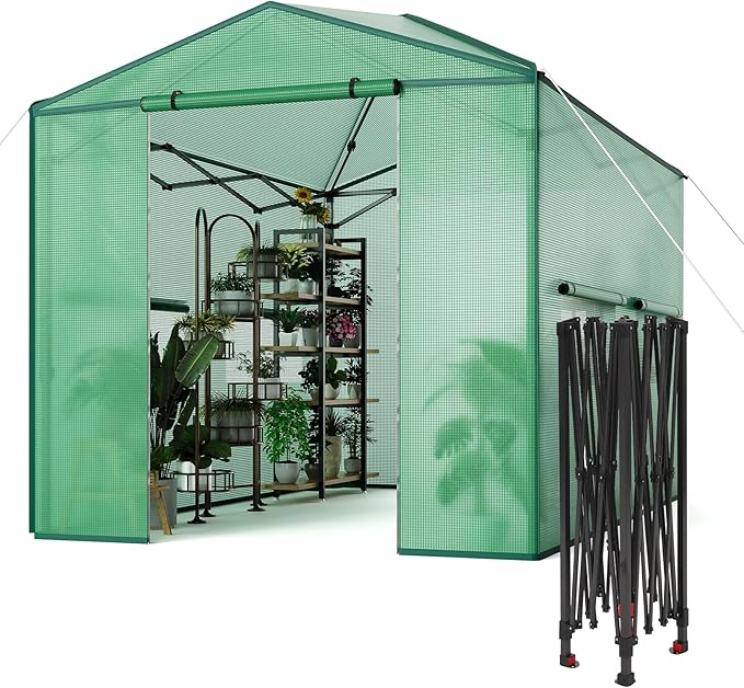 8X6 FT Pop Up Greenhouse,Greenhouse for Outdoors, Portable Walk-in Greenhouses with Roll-Up Zipper Door, PE Cover Greenhouses for Garden and Backyard, Easy Setup