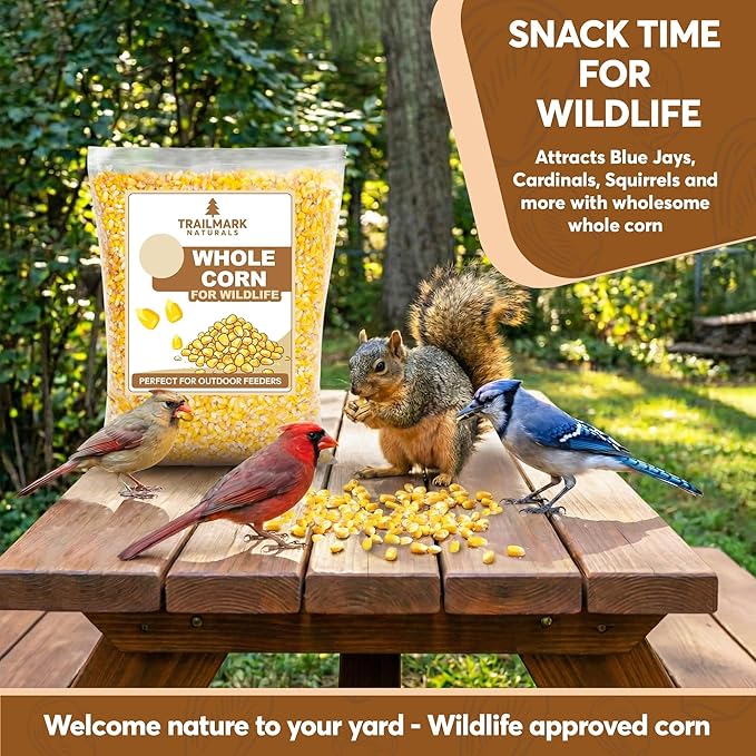 Whole Corn 10 LB– Premium Bird Seed & Wildlife Feed for Ducks, Deer, Squirrels, Chickens, and Turkeys – Whole Corn for Wild Birds – Grown in USA
