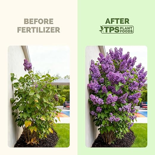 Lilac Fertilizer – Liquid Plant Food for More Blooms, Sweet Fragrance & Healthy Shrub Growth, 8 oz