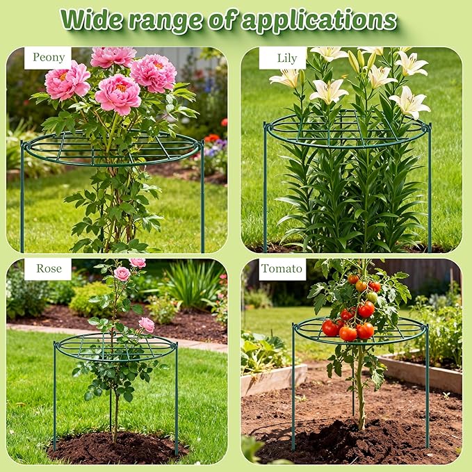 6 Pack 16 x 24 inch Peony Cages and Supports,Metal Grow Through Plant Supports for Outdoor Plants,Flowers Support Rings Top-Heavy Plant Brace Support Hoop for Vegetables,Rose,Tomato,Orchids