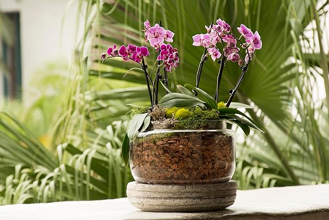 SuperMoss (23112) Orchid Potting Bark, 100% Natural White Fir Bark, 3/4", 2 Cu. Ft.