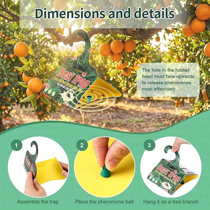6 Pack Citrus Leafminer Trap & Lure with Pheromone Lures – Triangular Hanging Sticky for All Varieties of Citrus Trees, Includes 6 Traps & 6 Lures, for Orchard & Garden Use