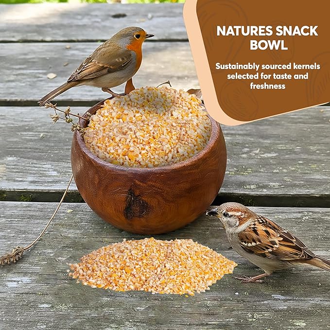 Cracked Corn 10 lb – Premium Bird Seed & Wildlife Feed for Ducks, Deer, Squirrels, Chickens, and Turkeys – Cracked Corn for Wild Birds – Grown in USA