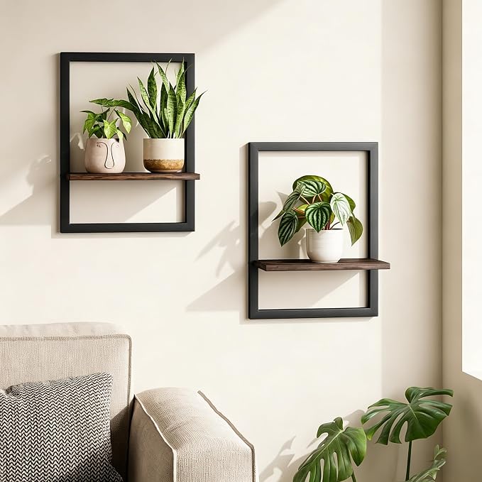 Bamworld Wall Plant Holder Hanging Planters for Indoor Plants Frames Decor Wall Planters for Small Pots Floating Shelves for Living Room Window