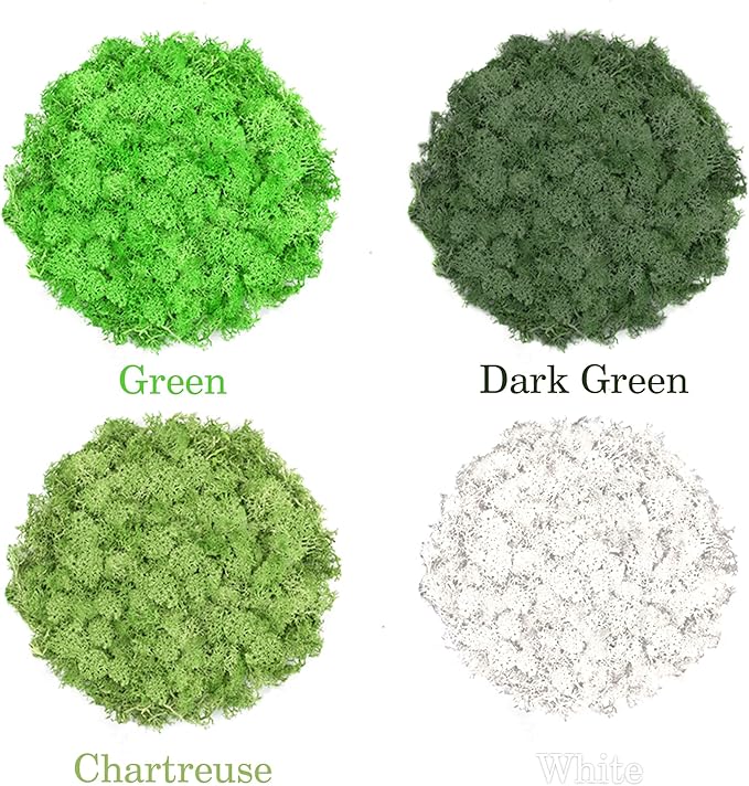 Preserved Reindeer Moss 14 OZ 4 Colors for DIY Gift, Potted Plants,Craft Wall Art,Festive Home Decorative Christmas(Green, Dark Green, Chartreuse and White, Each Color 3.5 OZ)