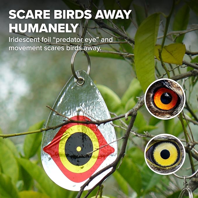 Bird B Gone - Reflective Eye Bird Diverters (10 x 5 Packs) - Foil Deterrent Mimics Predator Eyes - Scares Birds Away - for Trees, Patios, Gazebos, Boats, Etc - Durable Outdoor Plastic - 360° Rotation
