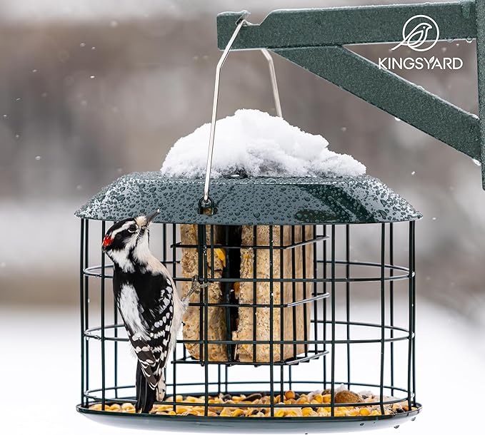 Kingsyard Squirrel Proof Suet Feeder, Cage Bird Feeders for Outdoors Hanging, All Metal, Double Suet Cake Capacity, Tray & Weatherproof, Green