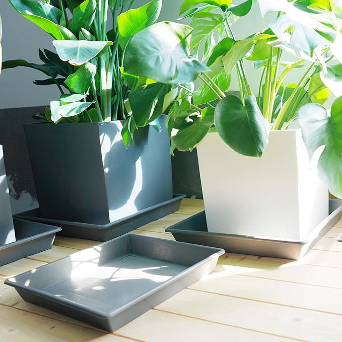 NIMYAU Square Plant Saucer 8 Inch 5 Pack, Plant Stand Plant Trays for Pots Heavy Duty Plastic Gray Plant Saucers for Indoors Outdoors, Flower Pot No Holes Plant Lover Gardening Gifts