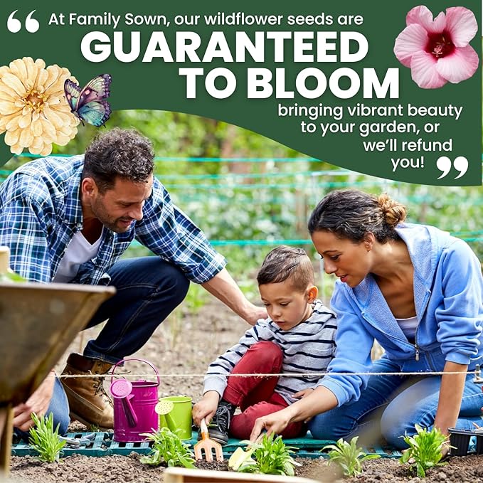 Shade Tolerant Mix – 56,000 Wildflower Seeds for Pollinator Gardens – 2026 Season – 4 Ounce Pouch