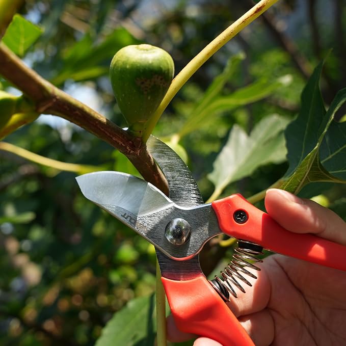 AGRICUT 7" Pruning Shears Heavy Duty Professional, Made of Japanese SK5 Steel Blades, 4/5 Cut Capacity, Bypass Hand Pruners Garden Clippers for Tree Flower Branch Trimming, S20E