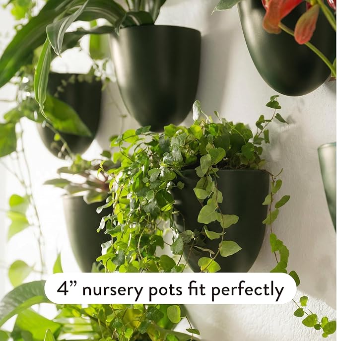 Make Good PlantPod Luxe - Self-Watering Wall Planters (Set of 6, Forest Green) - Easy to Water and Install - Lightweight - Design Your Own Vertical Garden - Wall Planters for Indoor Plants