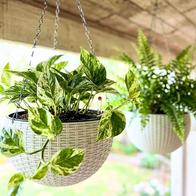LaLaGreen Hanging Planters for Indoor Plants (11 Inch, 4 Pack) White Rattan Style Self-Watering Hanging Flower Pots with Water Level Indicator, Round Baskets Metal Chain for Balcony Patio Garden Decor