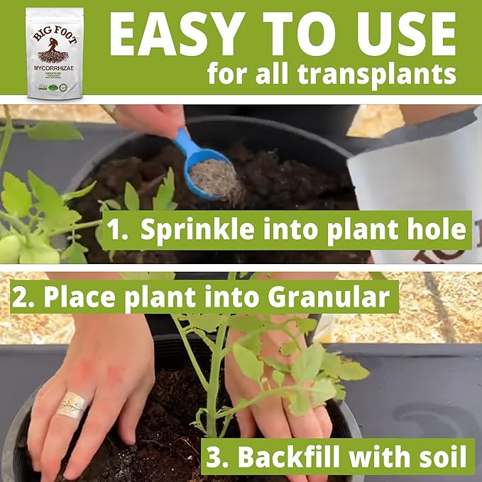 Big Foot Mycorrhizal Fungi Granular for Transplants - for All Plants - Easy to Use Root Stimulator - Treats 240 Plants (60K mycorrhizal Spores) - Double Your Plant Size - 2 Pounds