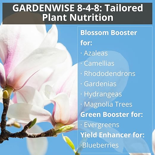 GARDENWISE 8-4-8 Acidic Fertilizer for Azaleas, Camellias (Camelia), Hydrangeas, Blueberries, Gardenias, Magnolia Trees, Evergreens, and Rhododendrons - Ideal Iron-Rich Plant Food (2 QUARTS)