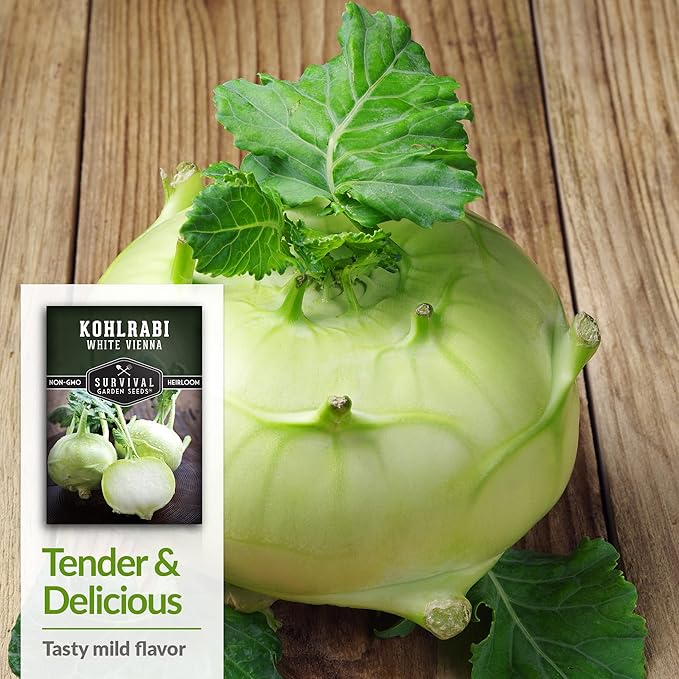 Survival Garden Seeds - White Vienna Kohlrabi Seed for Planting - Packet with Instructions to Plant and Grow Unique Cruciferous Vegetables in Your Home Vegetable Garden - Non-GMO Heirloom Variety