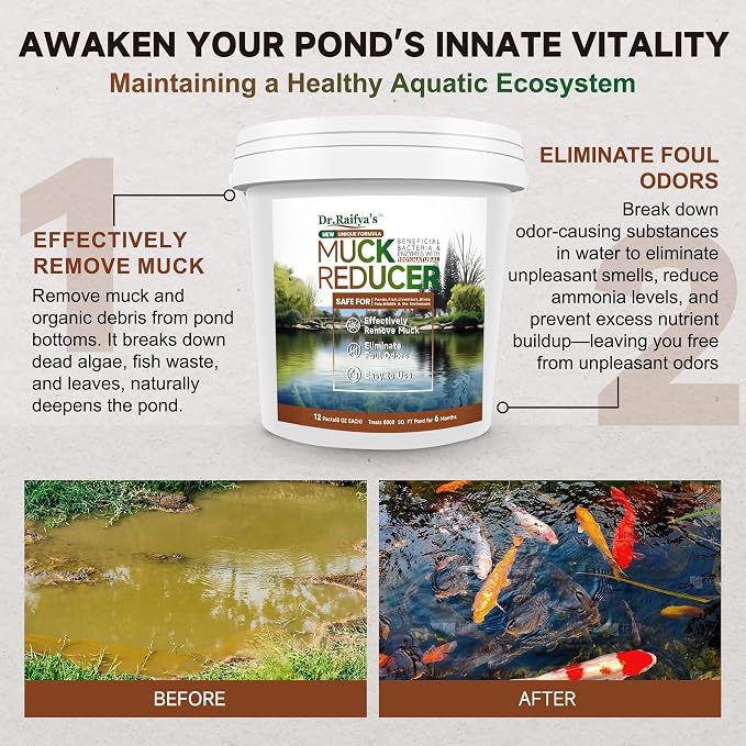 Dr.Raifya’s Muck Reducer 6 LB – Natural Pond Sludge & Odor Treatment, All-in-One Enhanced Cleaning Power in Ponds & Lakes, Beneficial Bacteria Safe for Fish, Pets & Wildlife, Treats Up to 48,000 Sq Ft