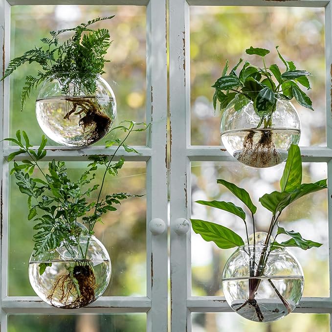 Window Propagation Stations, Oblate Glass Terrariums Planter with Suction Cup Hook, Wall Hanging Planters for Hydroponics Plants, Home, Office, Bathroom, Living Room Decor, Gift for Plant Lovers (6)