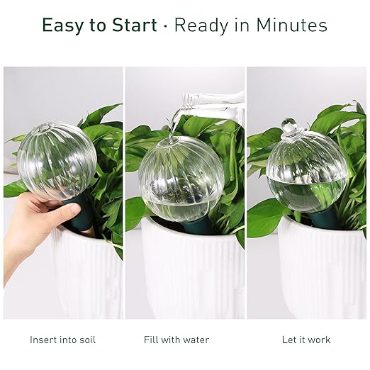 Soilagua 23 oz Extra Large Plant Watering Globes Top Fill, Clear Glass Water Bulbs with Terracotta Spikes Adapter, Slow Release Vacation Plant Watering Devices, Automatic Drip Irrigation, 2 Pack