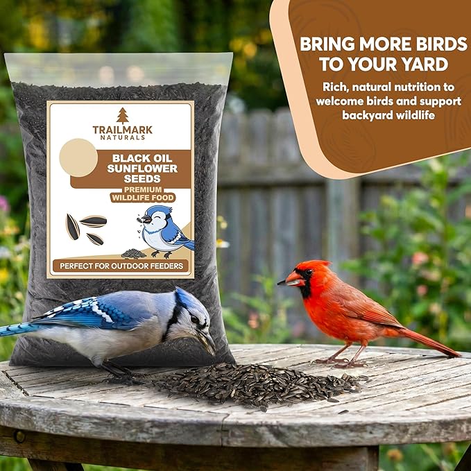 10 Pound Black Oil Sunflower Seeds for Birds – Premium Wildlife Food – Non - GMO -Grown in the USA - Black Oil Sunflower Seeds for Wild Animals and Backyard Feeders