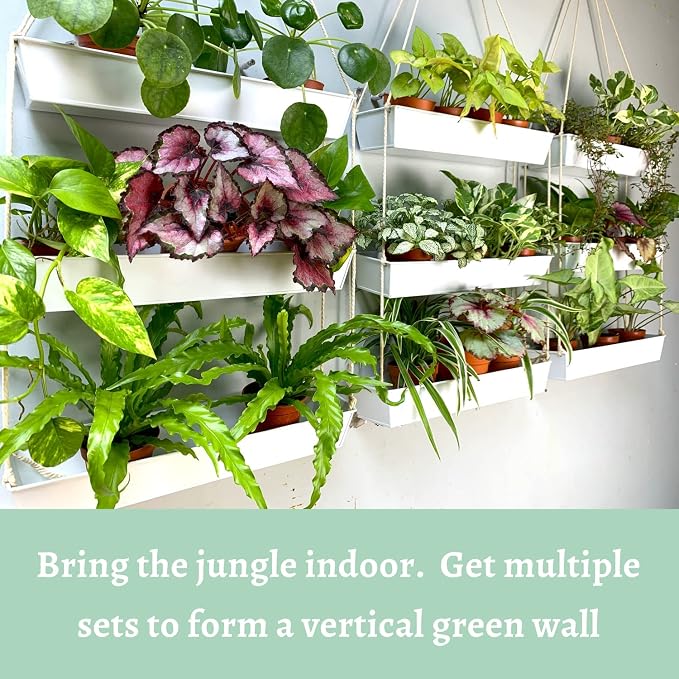 LaLaGreen Bundle - 3 Tier, 16 Inch Wall Hanging Planter + 10 Pack, 6 Inch White Metal Flower Pots for Deck Railing Fence,Succulent Rectangle Long Large Vertical Hanging Planter, Shower Plant Decor