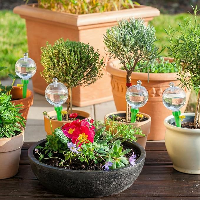 6 Pcs 17oz Plant Self Watering Globes for Indoor Outdoor Adjustable Plants Plastic Water Bulbs Top Fill Plant Self Watering Planter Insert Devices System Water Spikes Stakes