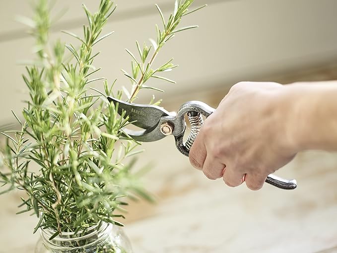 Barebones Pruner - Heavy Duty, Non-Slip Pruning Shears with Durable Blades - Old World Japanese Design, Plant Trimming Scissors - Ideal Houseplant Accessories & Garden Tools
