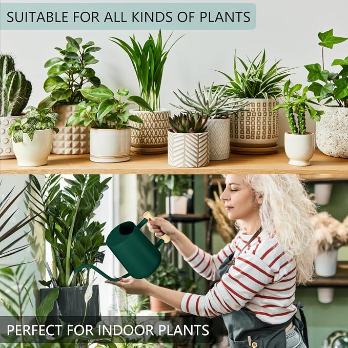 Watering Can Indoor Plants, 35oz Small Indoor Stainless Steel Metal Watering Can Modern Decorative Watering Pot with Long Spout for Indoor House Plant Bonsai Garden Flowers (Alpinegreen)
