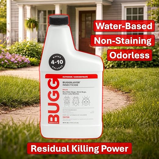 BUGGSLAYER Insecticide - Concentrate - Outdoor Box Elder Bugs, Stink Bugs, Asian Lady Beetles - 16 oz Bottle